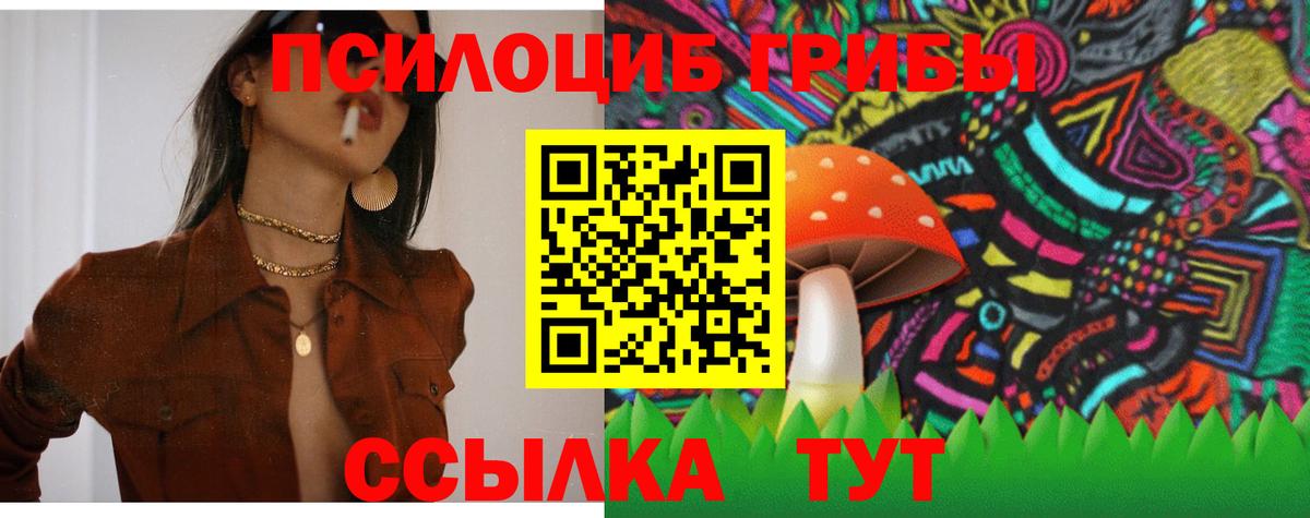 Артём  Галлюциногенные грибы мицелий  Вход с VPN 